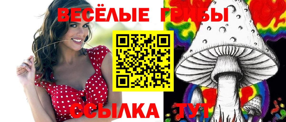 Саров  Галлюциногенные грибы MAGIC MUSHROOMS  Галлюциногенные грибы Cubensis  Вход с VPN 